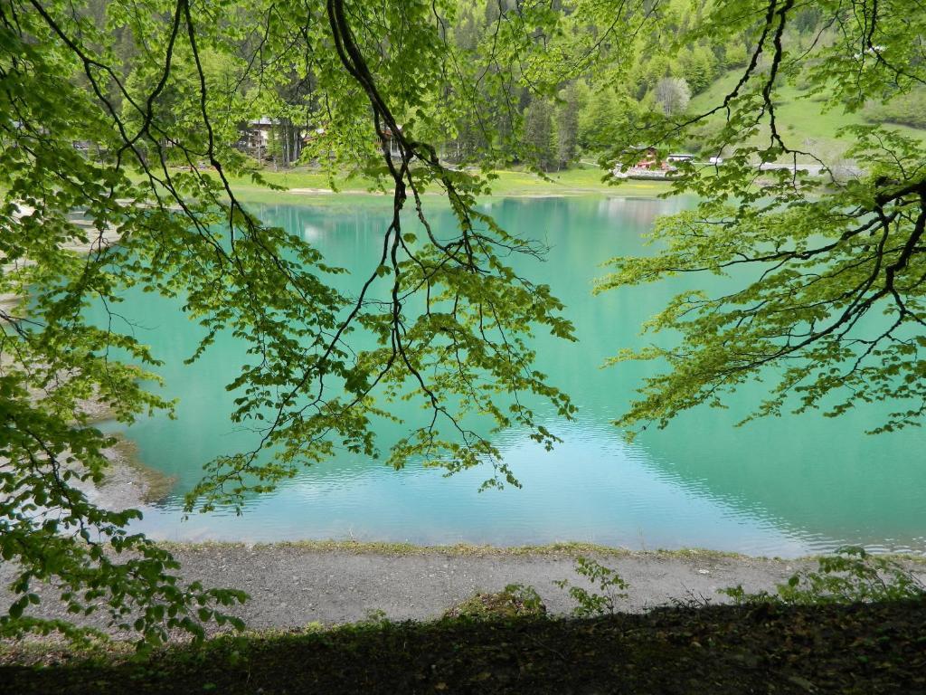 Logis Hotel Les Sapins Montriond Luaran gambar