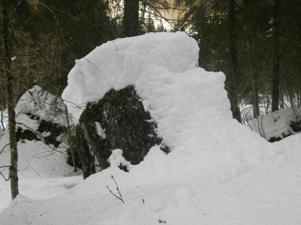 Logis Hotel Les Sapins Montriond Luaran gambar