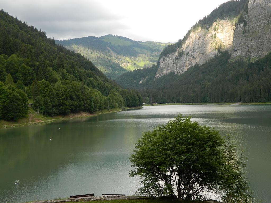 Logis Hotel Les Sapins Montriond Luaran gambar