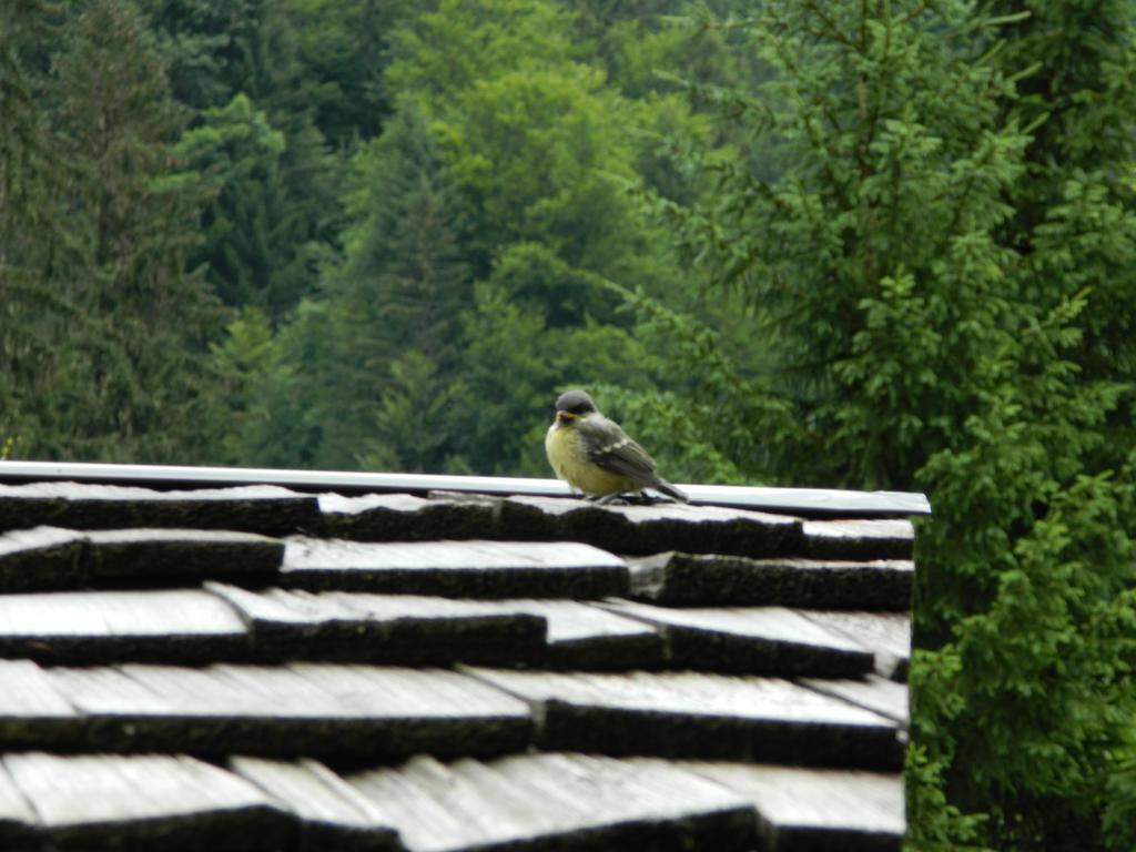 Logis Hotel Les Sapins Montriond Luaran gambar